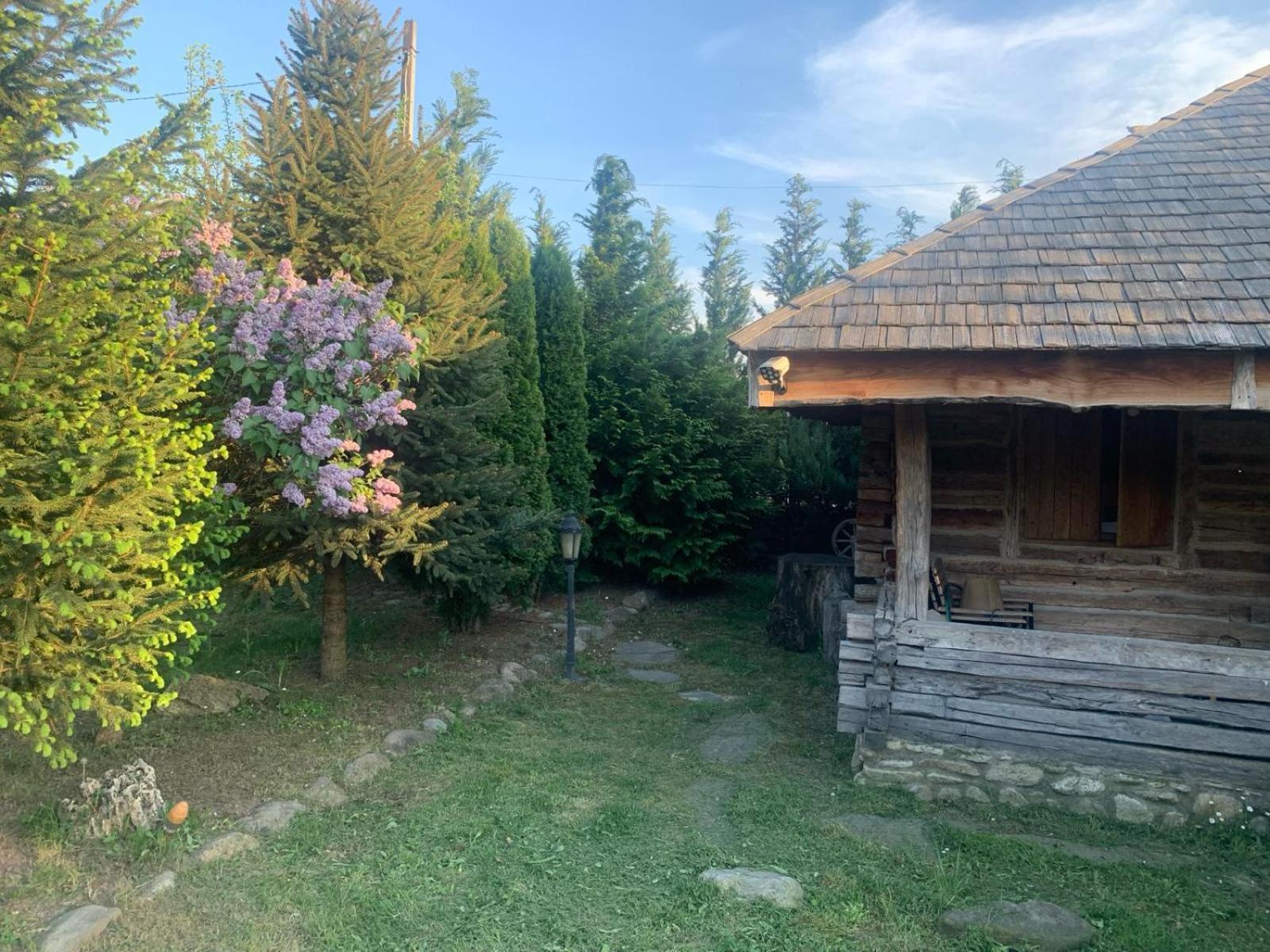 Satul Traditional Runcu  Buitenkant foto