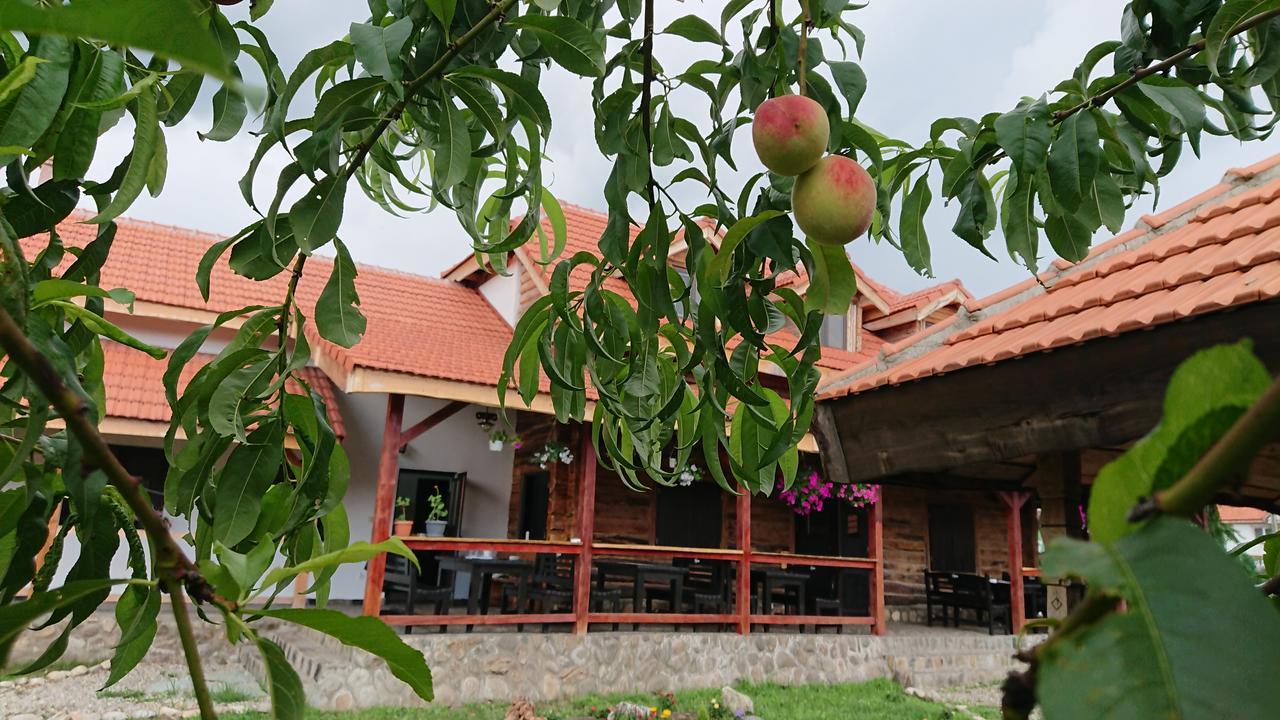 Satul Traditional Runcu  Buitenkant foto
